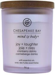 Chesapeake Bay Joy + Laughter lumânări parfumate 96 g