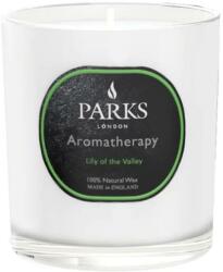 Parks London Lumânare parfumată - Parks London Aromatherapy Lily of the Valley Candle 220 g