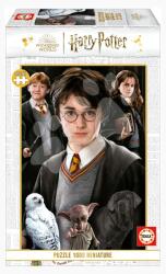 Educa Puzzle Miniature series Harry Potter 1 Educa 1000 darabos és Fix ragasztó (19490)