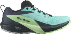 Salomon SENSE RIDE 5 GTX W Terepfutó cipők l47216000 Méret 40, 7 EU