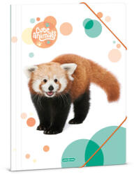 Ars Una Ars Una: Cute Animals - Cuki vörös panda gumis mappa A/4-es méret (50213092)
