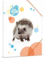 Ars Una Ars Una: Cute Animals - Cuki süni gumis mappa A/4-es méret (50213078)
