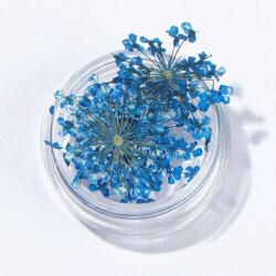 Szárított virág kis tégelyes - kék