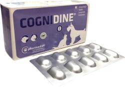 Cognidine tabletta kutyáknak és macskáknak az idegrendszer támogatására 60 db