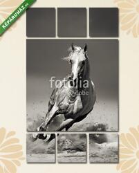 Többrészes Vászonkép, Premium Kollekció: arab ló sivatagban fut(135x80 cm, W01)