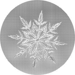 PontPöttyöző - Jégvirág 2 Méret: 50x50cm, Keretezés: Kerek keret, Szín: Fekete