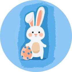  Festés számok szerint - Húsvéti nyúl Méret: 50x50cm, Keretezés: Kerek keret