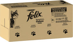 FELIX Sensations Jellies lamb/chicken/beef/duck 120x85 g