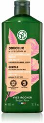 Yves Rocher Douceur finom állagú sampon with Organic Chestnut Milk 300 ml