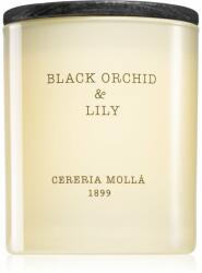 Cereria Mollá Boutique Black Orchid & Lily illatgyertya 230 g