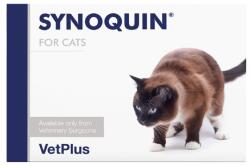 Synoquin Cat kapszula 30x - pawcity