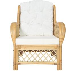 vidaXL Canapea cu pernă, ratan natural și in (325469) Canapea