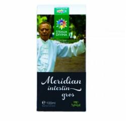 Steaua Divina Meridian Intestin gros tinctura, 100 ml, Steaua Divina