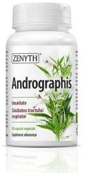 Zenyth Pharmaceuticals Supliment Alimentar ZENYTH PHARMACEUTICALS Andrographis 30 Capsule Vegetale