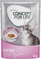 Concept for Life Kiegészítésként Concept for Life Maine Coon Kitten - javított receptúrájú száraz macskatáphoz: 12 x 85 g Concept for Life Kitten szószban