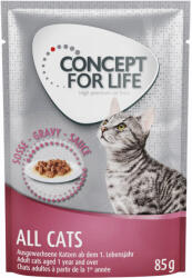 Concept for Life Kiegészítésként Concept for Life Outdoor Cats száraz macsktáphoz: 12 x 85 g Concept for Life All Cats szószban nedves macskatáp