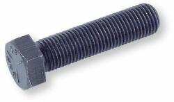 hatlapfejűcs 10.9 m18x 80 natur tm din-933