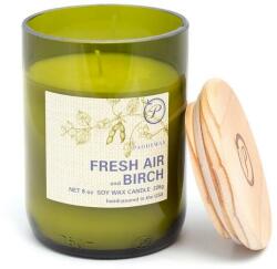 Paddywax Lumânare parfumată Briză răcoroasă și mesteacăn - Paddywax Eco Green Recycled Glass Candle Fresh Air + Birch 226 g