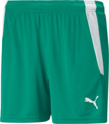 PUMA Sorturi Puma teamLIGA Shorts W 70493605 Marime L (70493605)