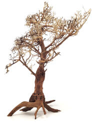 Wio Tree fa XL (M: 45-60 cm Sz: 50-70 cm) (71160240)