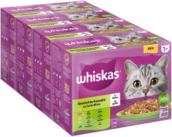 Whiskas Whiskas Megapack 1+ Adult Pliculețe 48 x 85 g / 100 - Selecție mixtă în gelatină