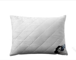 Billerbeck Feelings by Billerbeck KATICA kispárna, 36x48 cm (250 g)