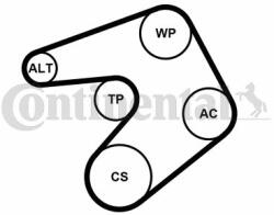 Continental Ctam Set curea transmisie cu caneluri CONTINENTAL CTAM 6PK1244K1 (6PK1244K1) - automobilus