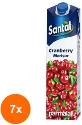 Santal Set 7 x Suc de Merisor 15%, Santal Cranberry, 1 l