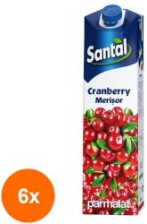 Santal Set 6 x Suc de Merisor 15%, Santal Cranberry, 1 l