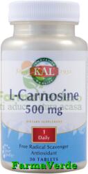L-CARNOSINE 500 mg 30 tablete ActivTab Kal Secom