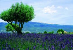 Bluebird Puzzle 1000 db-os puzzle - Mont Ventoux (90434) - puzzle