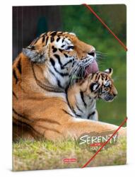 Ars Una Serenity állatos gumis mappa - A4 - tigris (50213320) - mindenkiaruhaza