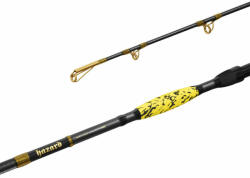 Delphin HAZARD BxG 255cm/505g harcsázó bot