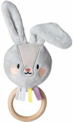 Taf Toys Rattle Rylee the Bunny jucărie zornăitoare 1 buc