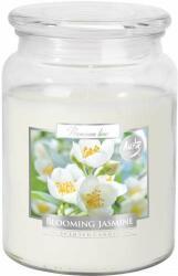 BISPOL Blooming Jasmine 500 g