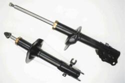 SACHS 317307 Amortizor