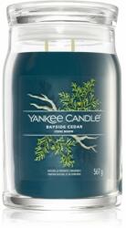 Yankee Candle Bayside Cedar lumânare parfumată I. Signature 567 g