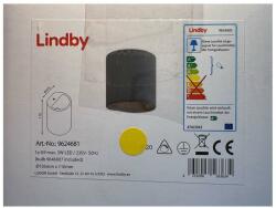 Lindby Aplică LED EDVIN 1xG9/3W/230V Lindby (LW1219)