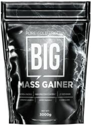 Pure Gold BIG-Mass Gainer 3000 g