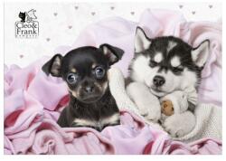 Derform Cleo és Frank kutyás asztali könyöklő - Nap time (POCF38)