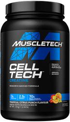 MuscleTech Cell Tech Performance Series - MuscleTech 1130 g punch de fructe