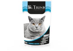 Dr. Trend Premium Hrana umeda pisici Hairball Control, 12x0, 085g