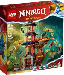 LEGO® NINJAGO® - Temple of the Dragon Energy Cores (71795)