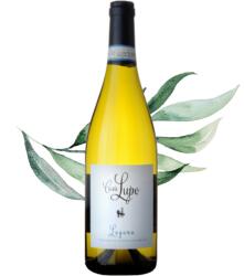 Paladin - Casa Lupo Lugana 0, 75 l (2046)