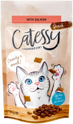 Catessy Catessy Pachet economic Knabber-Snacks 15 x 65 g - Somon, vitamine & Omega-3