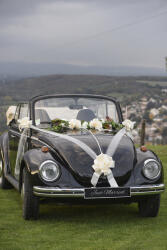 Santex Decorațiune de nuntă pentru mașină - Fundă crem