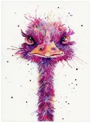 Santoro Felicitare Eclectic Watercolour Ostrich (ES344)