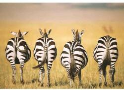 Ravensburger Puzzle Zebre In Savana, 300 Piese (RVSPA13312) - ookee