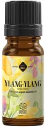 Elemental Ulei esential de Ylang-Ylang Bio, 10 ml, Ellemental