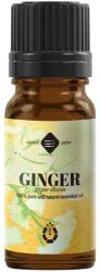 Elemental Ulei esential de Ghimbir (Ginger), 10 ml, Ellemental